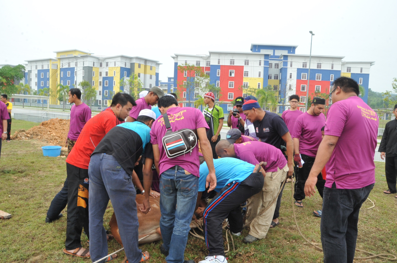 PRO15 150 KORBAN HAS 6836